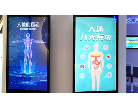 人体的衰老&人体八大系统