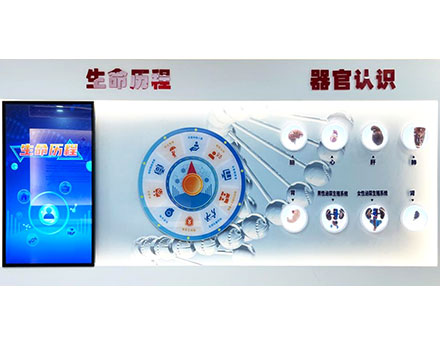 生命的历程