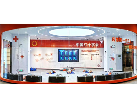 多人心肺复苏（CPR）考核训练系统